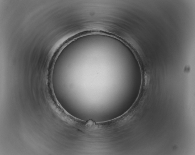 X0000110981020200906191359