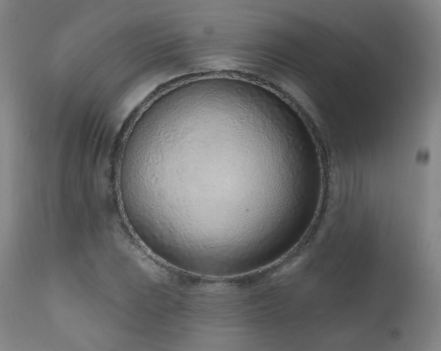 X0000110981023200906191359