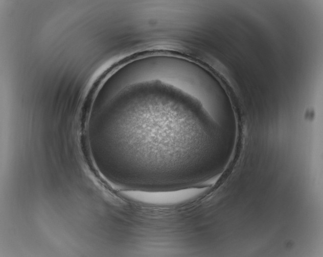 X0000110981024200906191359