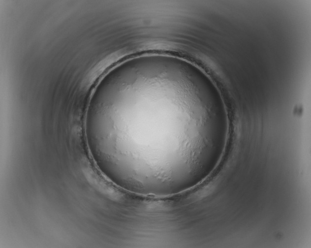 X0000110981025200906191359