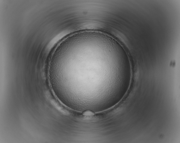 X0000110981026200906191359