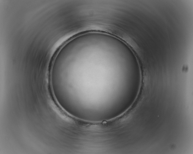 X0000110981028200906191359