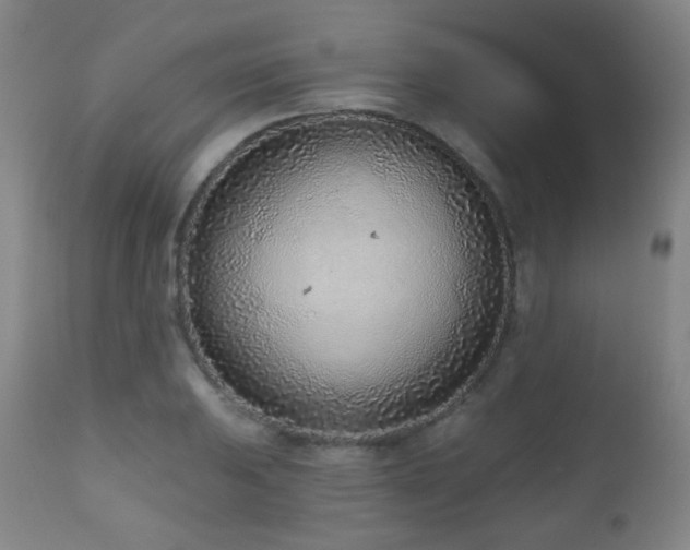 X0000110981031200906191359