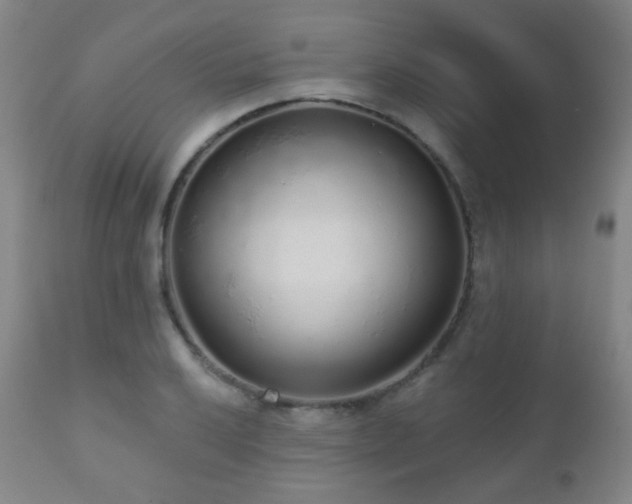 X0000110981032200906191359