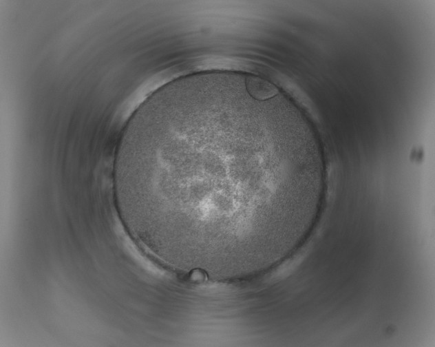 X0000110981033200906191359