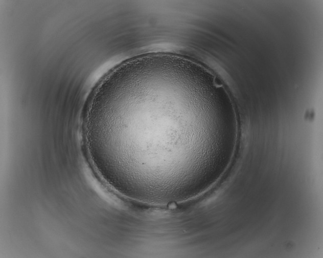 X0000110981034200906191359