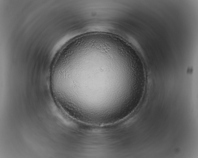 X0000110981035200906191359