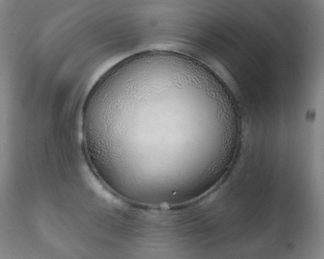 X0000110981036200906191359