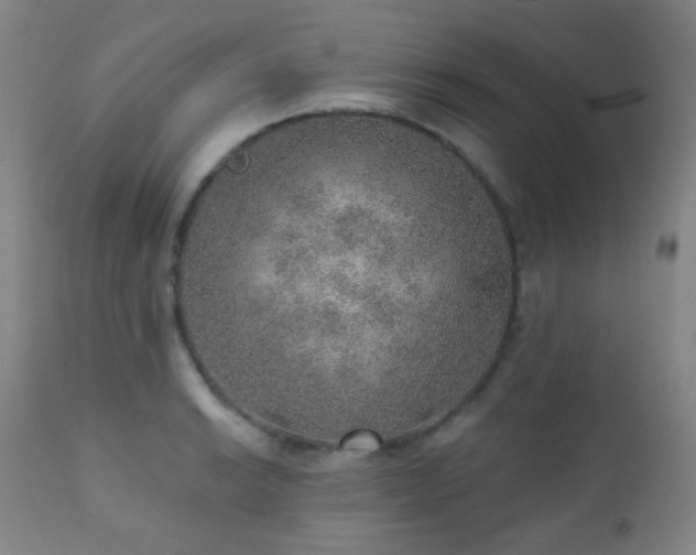 X0000110981038200906191359