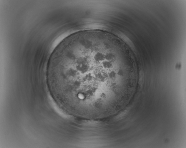 X0000110981039200906191359