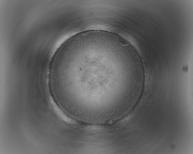 X0000110981040200906191359