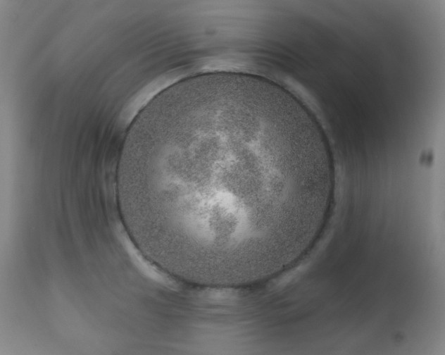 X0000110981041200906191359