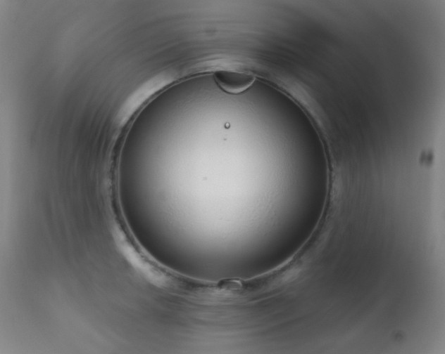 X0000110981042200906191359