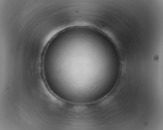 X0000110981046200906191359