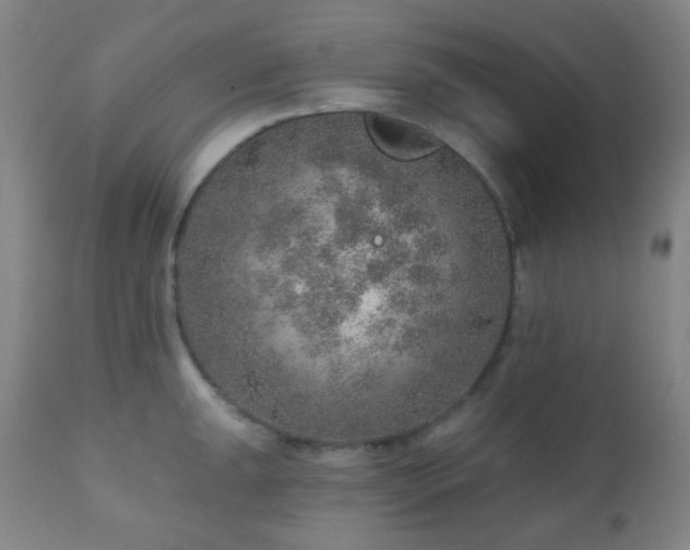 X0000110981047200906191359