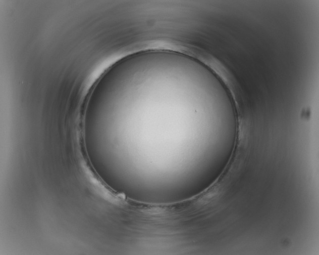 X0000110981048200906191359