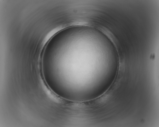 X0000110981050200906191359