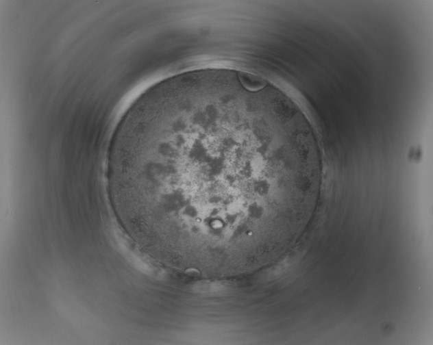 X0000110981051200906191359