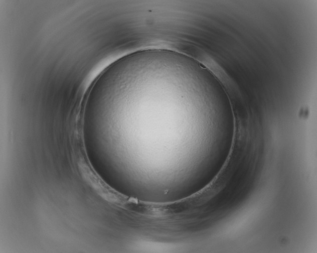 X0000110981052200906191359