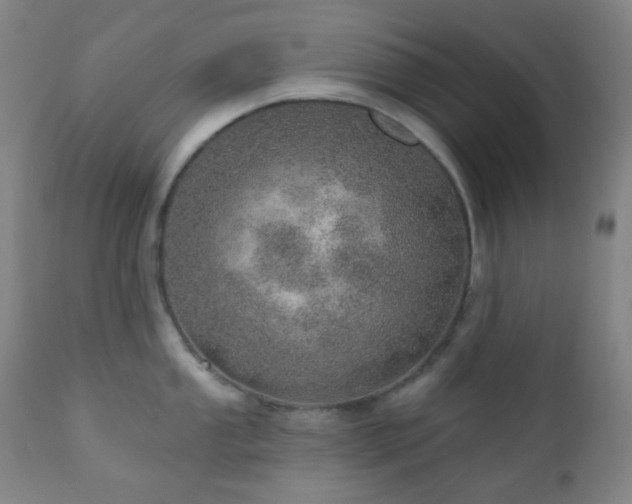 X0000110981053200906191359