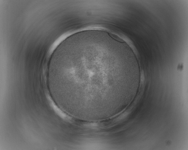 X0000110981054200906191359