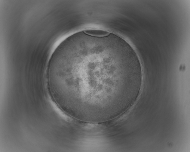 X0000110981056200906191359