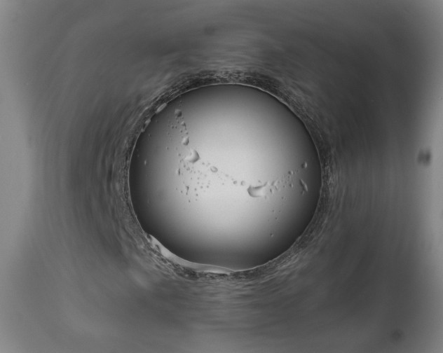 X0000110981057200906191359