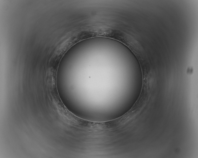 X0000110981058200906191359