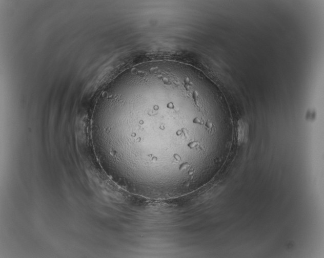 X0000110981059200906191359