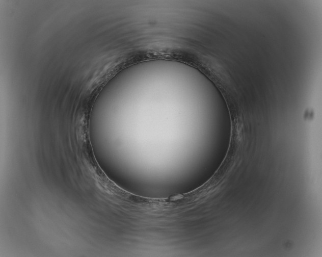 X0000110981060200906191359