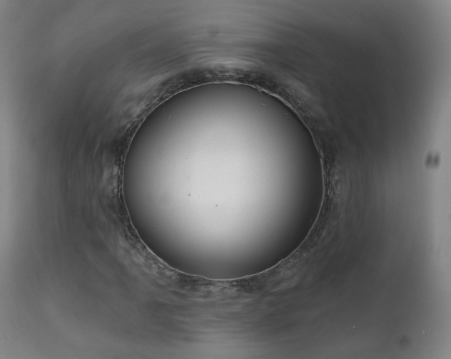 X0000110981061200906191359