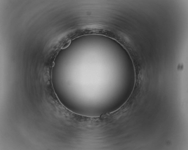 X0000110981062200906191359