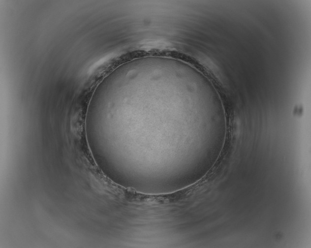 X0000110981063200906191358