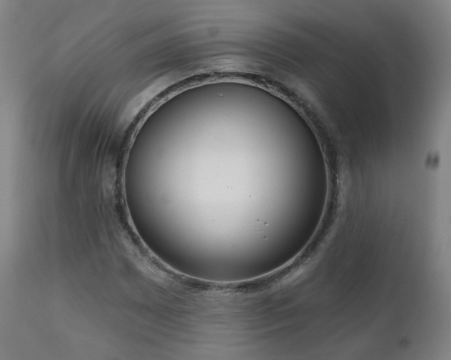 X0000110981065200906191358