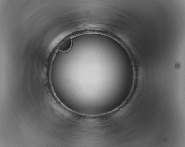 X0000110981066200906191358