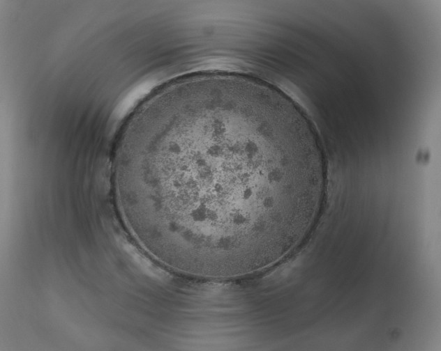 X0000110981067200906191358