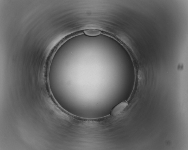 X0000110981068200906191358