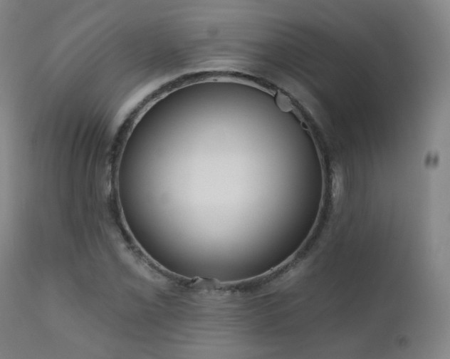 X0000110981069200906191358