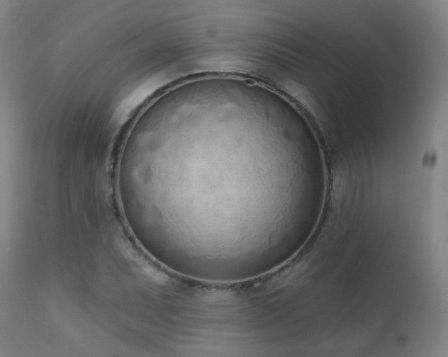 X0000110981071200906191358