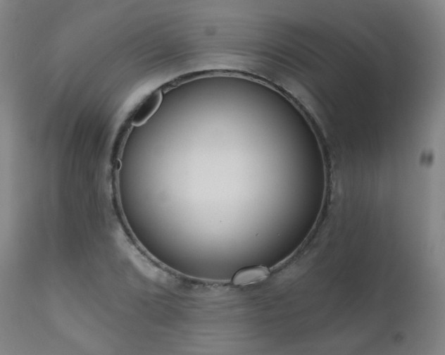 X0000110981072200906191358