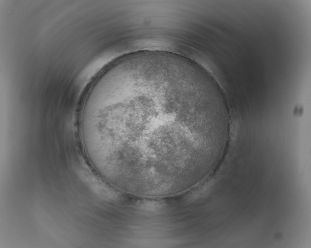 X0000110981074200906191358