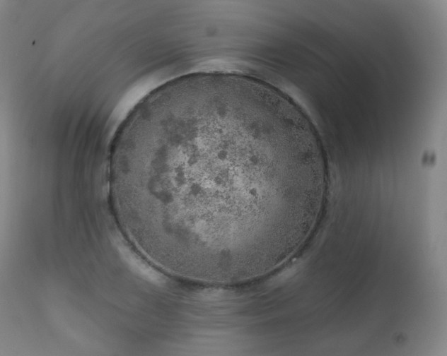 X0000110981075200906191358