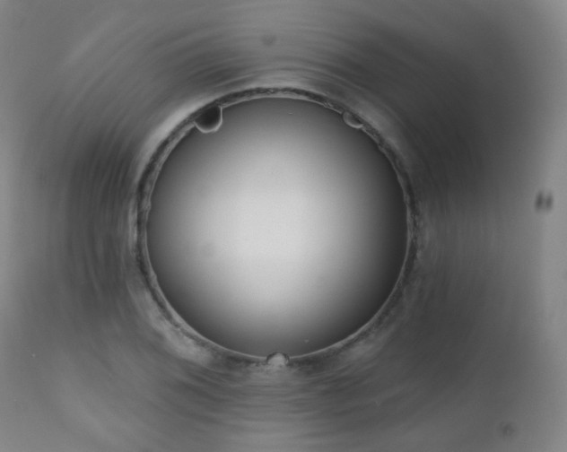 X0000110981076200906191358