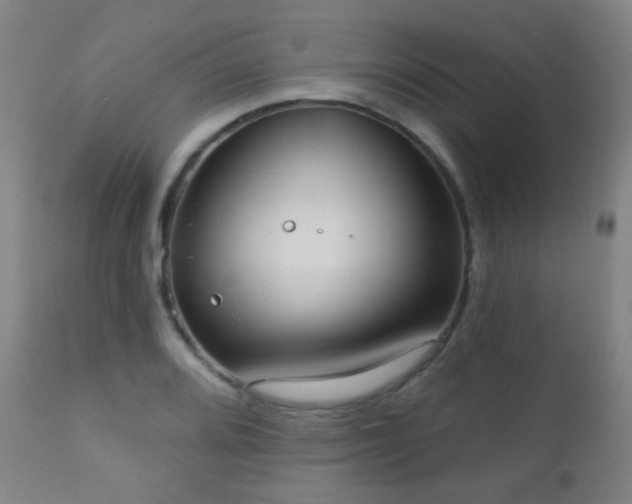 X0000110981080200906191358