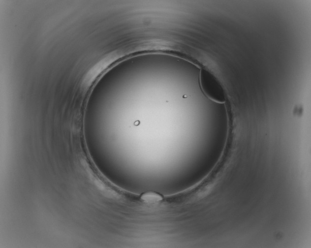 X0000110981081200906191358