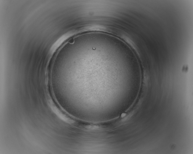 X0000110981082200906191358