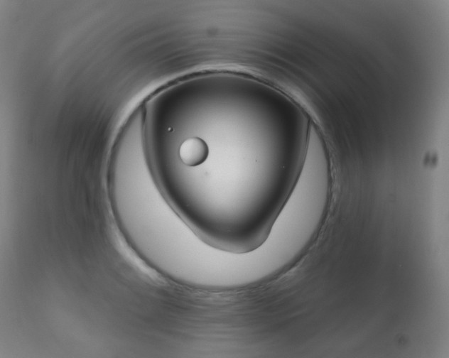 X0000110981084200906191358