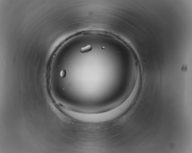 X0000110981085200906191358