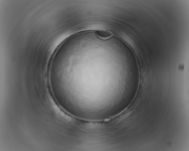 X0000110981087200906191358