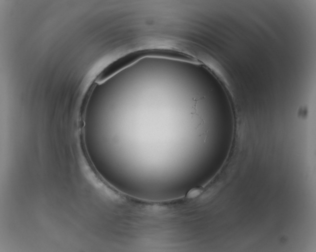 X0000110981088200906191358